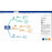 ivvi Notes visual mind map with organized notes and transcription