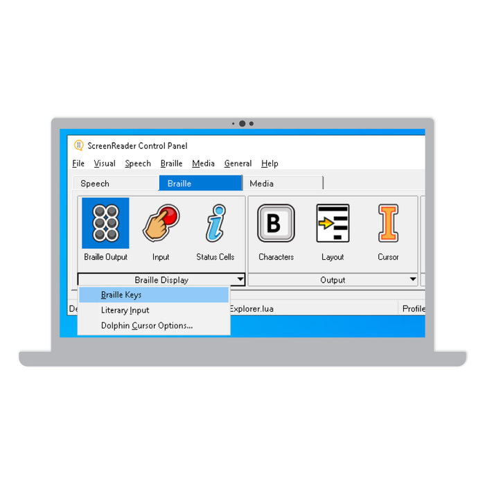 SuperNova Screen Reader Braille output settings and control panel